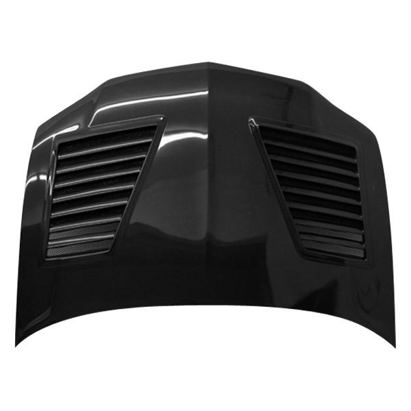 VIS Racing® - GTC Style Carbon Fiber Hood