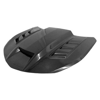 VIS Racing® - Terminator Style Carbon Fiber Double Sided Hood