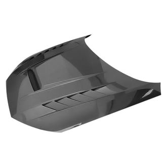 VIS Racing® - DTM Style Carbon Fiber Hood