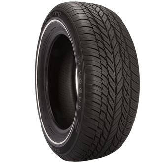 Black Eco-Plate