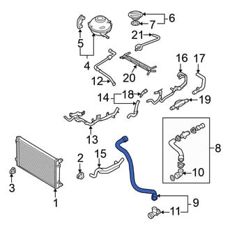 Volkswagen OE - Lower Radiator Coolant Hose