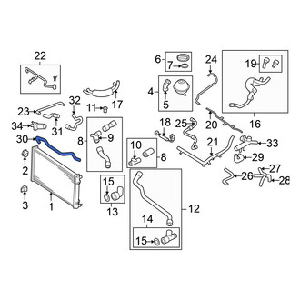 Volkswagen OE - Upper Radiator Coolant Hose