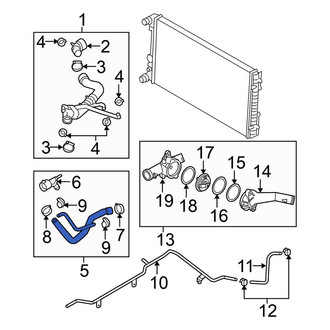Volkswagen OE - Lower Radiator Coolant Hose