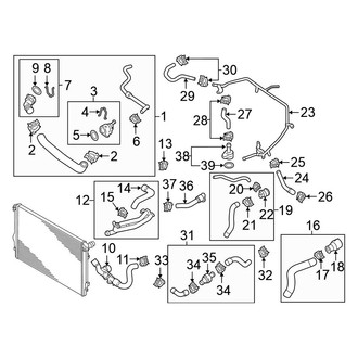Volkswagen OE - Cooling - Hoses & Lines (Upper), (Automatic Tr)