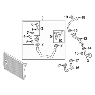 Volkswagen OE - Cooling - Hoses & Lines (Lower), (Automatic Tr)