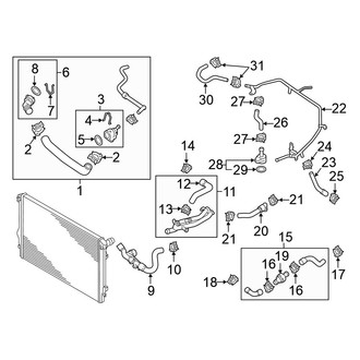 Volkswagen OE - Cooling - Hoses & Lines (Feed)