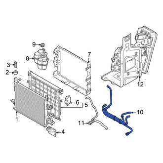 Volkswagen OE - Lower Radiator Coolant Hose