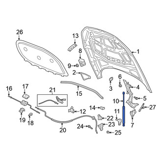 Volkswagen OE - Hood Lift Support