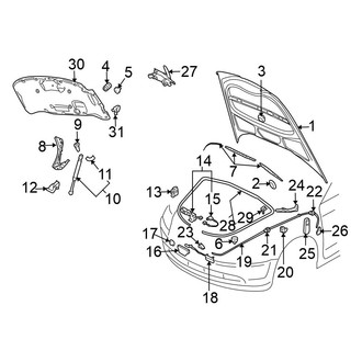 Volkswagen OE - Hood & Grille - Hood & Components