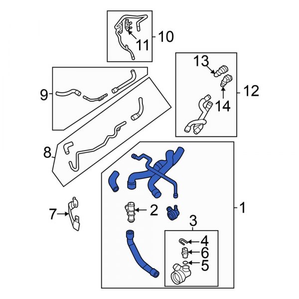 Radiator Coolant Hose