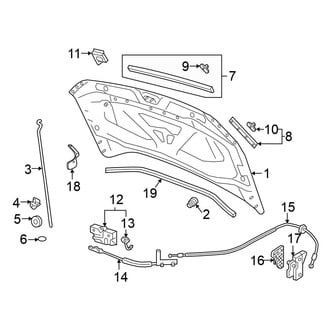 Volkswagen OE - Hood & Components