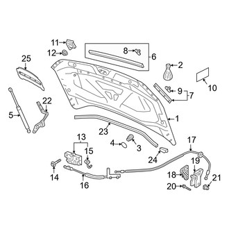 Volkswagen OE - Hood & Components