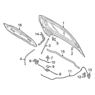 Volkswagen OE - Hood & Components