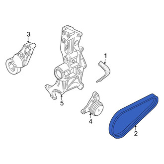 Volkswagen OE - Accessory Drive Belt