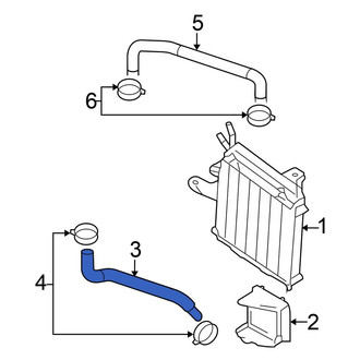 Volkswagen OE - Radiator Coolant Hose