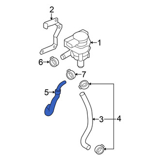 Volkswagen OE - Radiator Coolant Hose