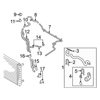 Volkswagen OE - Cooling - Hoses & Lines (Feed), (2.0L Standard Tr)