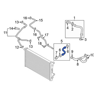 Volkswagen OE - Lower Radiator Coolant Hose