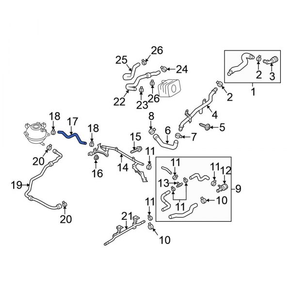 Engine Coolant Reservoir Hose