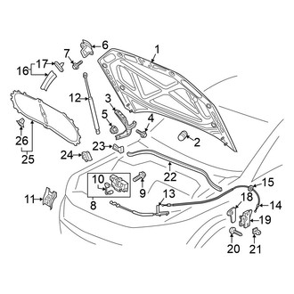 Volkswagen OE - Hood & Components