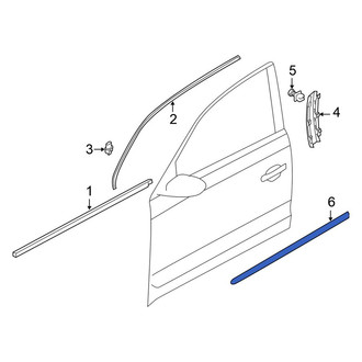 Volkswagen OE - Front Left Door Molding