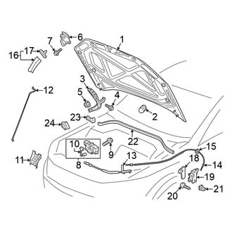 Volkswagen OE - Hood & Components