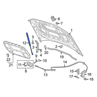 Volkswagen OE - Front Hood Lift Support