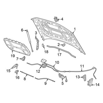Volkswagen OE - Hood & Components