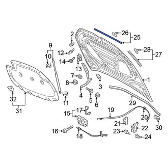 Volkswagen OE - Front Hood Seal