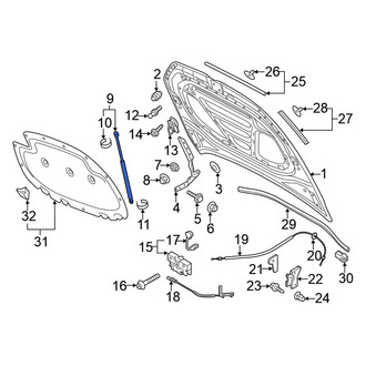 Volkswagen OE - Hood Lift Support