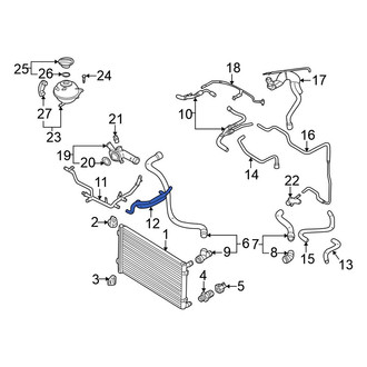 Volkswagen OE - Upper Radiator Coolant Hose