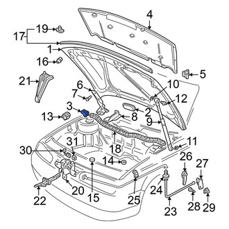 Volkswagen OE - Front Rearward Hood Seal