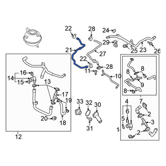 Volkswagen OE - Engine Coolant Reservoir Hose
