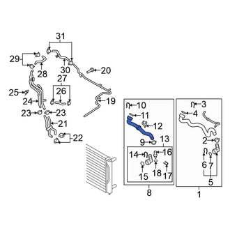 Volkswagen OE - Lower Radiator Coolant Hose