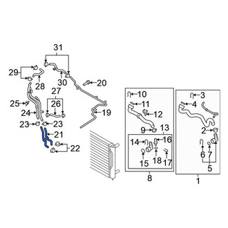 Volkswagen OE - Lower Radiator Coolant Hose