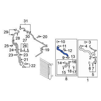 Volkswagen OE - Lower Radiator Coolant Hose