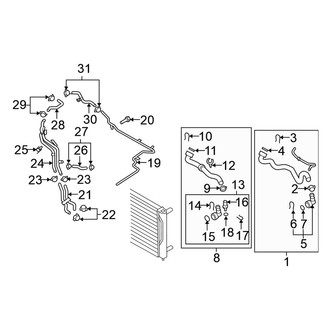 Volkswagen OE - Cooling - Hoses & Lines (Manual Top), (Standard Tr)