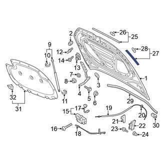 Volkswagen OE - Front Hood Seal