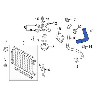 Volkswagen OE - Upper Radiator Coolant Hose