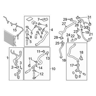Volkswagen OE - Cooling - Hoses & Lines (Sedan Automatic Tr)