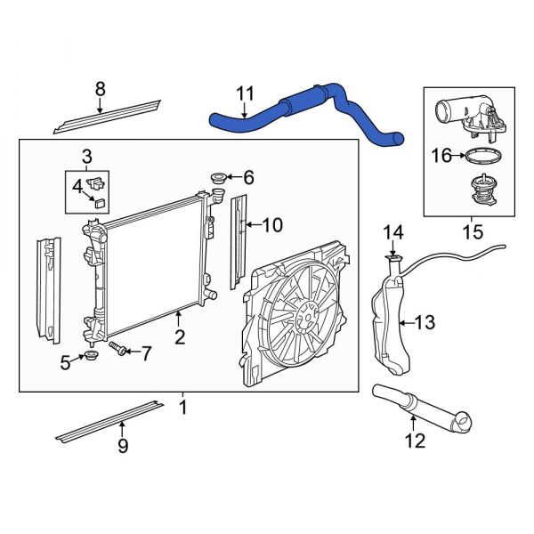 Radiator Coolant Hose