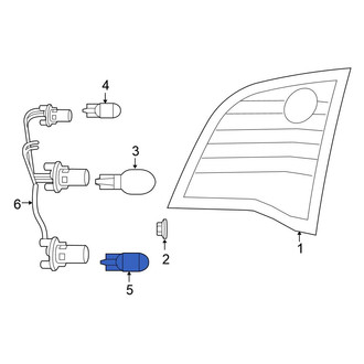 Volkswagen OE - Back Up Light Bulb