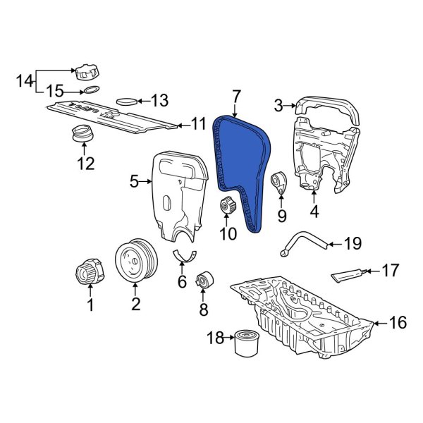 Engine Timing Belt