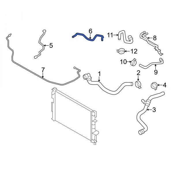 Engine Coolant Overflow Hose