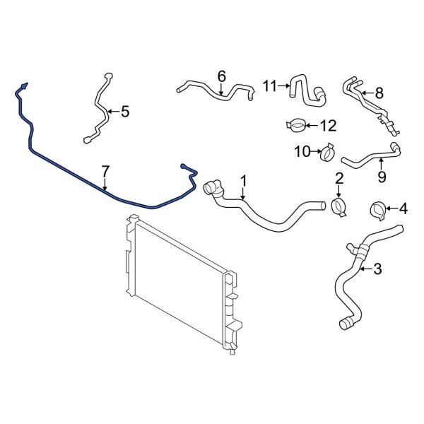 Engine Coolant Overflow Hose