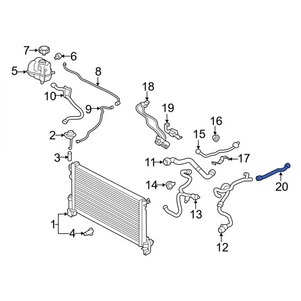 Radiator Coolant Hose