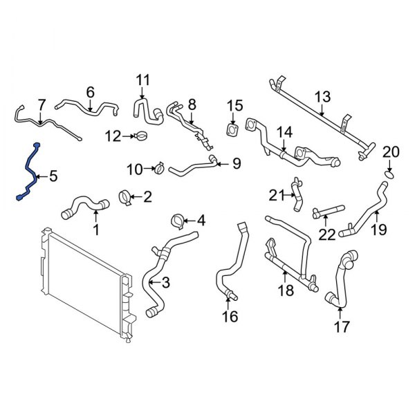 Engine Coolant Overflow Hose