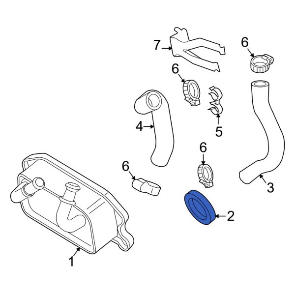 Engine Oil Cooler Gasket