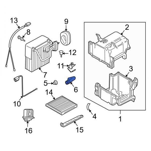 A/C Evaporator Drain