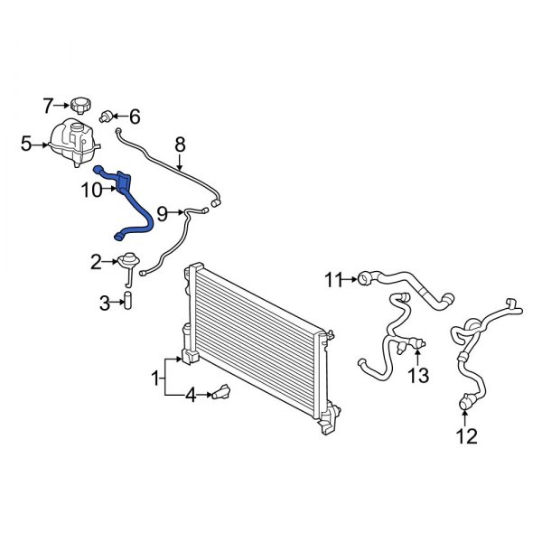 Engine Coolant Overflow Hose